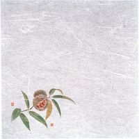 遠藤商事 TKG ヤマコー 新・濡れ奉書紙(100枚入) 栗