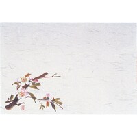 遠藤商事 TKG マイン 四季紙・千寿(100枚入) 桜 M30205