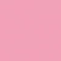 �v���X�@�i�s�w�@�R�U�T�Q�V�V�j�P�F���肪�݃J�l�V�����P�O�O���a�Q�U�O�i�R�V�@�a�Q�U�O�i�R�V�@�P�o���i�P�O�O���j