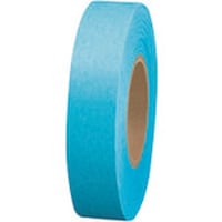 �v���X�@�i�s�w�@�W�R�O�R�P�T�j���e�[�v�T�����@���@�a�R�Q�Q�i�r�j�@