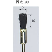 �A���S�t�@�C���@�|�����s�b�h�u���V