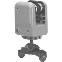 �����H�Ɓ@�����@�q�u���P�b�g�g�t���i�@�b�j�V�R�q�v�l�y�y�@�P��