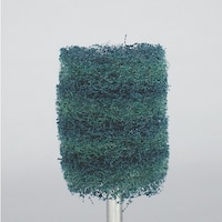 アルゴファイル ポリッシャーバフ