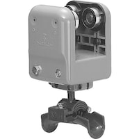 �����H�Ɓ@�����@�q�u���P�b�g�g�t���i�@�b�j�W�Q�q�`�v�l�y�y�@�P��