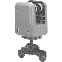 �����H�Ɓ@�����@�q�u���P�b�g�g�t���i�@�b�j�V�Q�q�v�l�y�y�@�P��