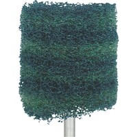 アルゴファイル ポリッシャーバフ