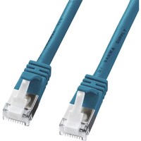 サンワサプライ SANWA ツメ折れ防止カテゴリ5eSTPLANケーブル KBSTPTS10BL 1本