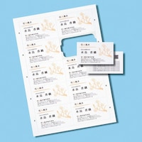 サンワサプライ SANWA マルチタイプまわりがきれいな名刺カード・標準(A4、10面、20シート200カード入り) JPMCCM01 1S(20枚)