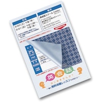 サンワサプライ SANWA 貼り直しができる目隠しシール(2面付) JPHKSEC11 1S(20枚)