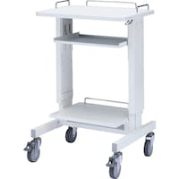 サンワサプライ SANWA 電子カルテラック RACHP9SCN 1台