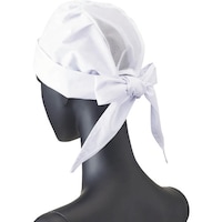 �T�[�E�J�H�@�T���y�b�N�X�@�O�p�Ќ^�X�q�i���b�V���t�j