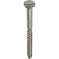 ダイドーハント DAIDOHANT ステンレス コーチスクリュー 12×75(19頭)(40本)