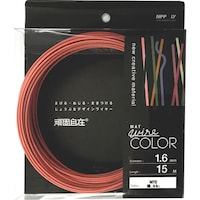 �_�C�h�[�n���g�@�c�`�h�c�n�g�`�m�s�@��Ŏ��݁@���@�i�����j�@�P�D�U�~�P�T�l