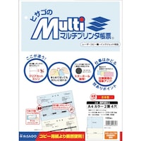 ヒサゴ HISAGO マルチプリンタ帳票 A4 カラー 2面 4穴