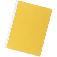 リヒトラブ LIHIT クリヤーポケット<超厚口> (10枚入り) A4