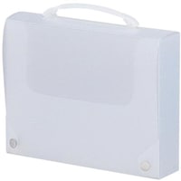 リヒトラブ LIHIT キャリングバッグ<ワイド> 乳白 A4