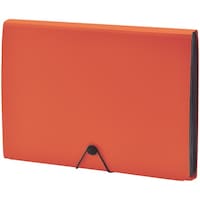 リヒトラブ LIHIT ドキュメントファイル オレンジ A4 A76204 1冊