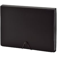 リヒトラブ LIHIT ドキュメントファイル ブラック A4 A762024 1冊