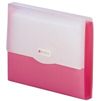 リヒトラブ LIHIT ドキュメントファイル レッド A4 G56103 1冊