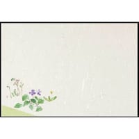 大黒工業 大黒 テーブルマット T105 春の花2 222367 1組(100枚)