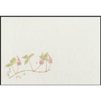 大黒工業 大黒 テーブルマット四季花柄 #759 葛の花 220759 1組(100枚)