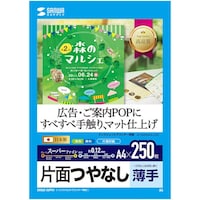 サンワサプライ SANWA インクジェット用スーパーファイン用紙 A4サイズ250枚入り JPEM5NA4250 1冊(250枚)
