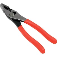 ���[���h�c�[���@�A�X�g���v���_�N�c�@�X���b�v�W���C���g�v���C���[�@�r�i�T�V�P