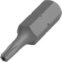 ワールドツール アストロプロダクツ AP ビット いじり止めヘックスローブ T10 2002000032232 1個