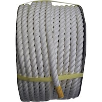 �܂���H�Ɓ@�܂���@�N�����i�r���[�v�i�R�ł��j�Q�O�������~�U�O���@�h�������@�j�l�r�Q�O�w�U�O�c�q�@�P��