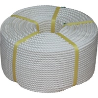 ���؍j�Ɓ@���؁@�r�j�������[�v�@�X�����w�Q�O�O���@�R�U�T�T�R�Q�@�P��