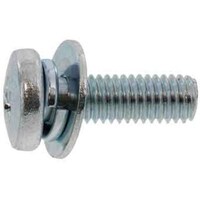 サンコー SUNCO 組込みねじ (+)バインドP=3(鉄(または標準)・BC(黒クロメート)) M6×30(250本入) 100004030060030010 1箱(250本)