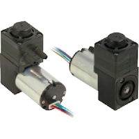 �����H��@�����@���^�t�̃_�C�A�t�����|���v