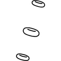 �z�[�U���@�o�������s�������@�V�[���L�b�g�@�P�T�X�T�j�@�P��