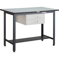 トラスコ中山 TRUSCO 中荷重立作業台(500kg)HAEW型 1200X750XH885 2段引出付 ダークグレー色 HAEWP1275F2 1台