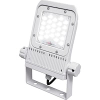 アイリスオーヤマ IRIS 109006 角型投光器 15W 縦長 2500lm 昼白色 (5000) ホワイト 防塵・防水・重耐塩 FLS15WWNK5R7W 1台