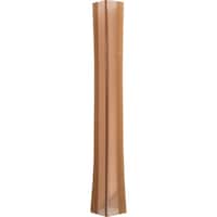 �a�C�Y�Ɓ@�v�`�j�h�@�R�[�i�[�K�[�h�R�O�k�@�s�r�k�O�O�W�@�N���A�a�q