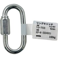 �a�C�Y�Ɓ@�v�`�j�h�@�����O�L���b�`�@�P�T�V�O�R�@�U�l�l