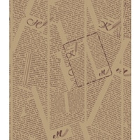 �V���W�}�@�g�d�h�j�n�@���b�N�X�y�[�p�[�@�t�F�U�[�C�j�V�����@���@���M�����[�T�C�Y�@�P�O�O������