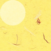 �V���W�}�@�g�d�h�j�n�@����@���͂��@���ˁ@�T�O������