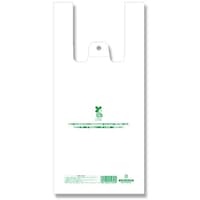 �V���W�}�@�g�d�h�j�n�@���W�܁@�o�C�I�n���h�n�C�p�[�@�r�@�P�O�O������