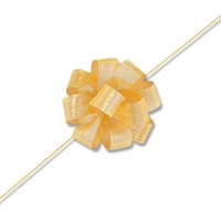 �V���W�}�@�g�d�h�j�n�@�����^�b�`���^�����{���@�S�[���h�@�P�W�w�Q�O�@�O�O�P�S�O�R�R�O�P�@�P��