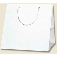 シモジマ HEIKO 手提げ紙袋 ブライトバッグ 白 C1 10枚入り 006459500 1袋(10枚)