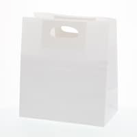 �V���W�}�@�g�d�h�j�n�@���������p��܁@�g�D�[�S�[�o�b�O�@�N�����n�@�k�@�Q�T������