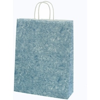 �V���W�}�@�g�d�h�j�n�@��񂰎��܁@�Q�T�`���[���o�b�O�@�Q�ˁ@�_���@�@�T�O������@�O�O�R�Q�R�O�P�O�P�@�P�܁i�T�O���j