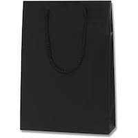 シモジマ HEIKO 手提げ紙袋 ブライトバッグ 黒(MT) SWT 10枚入り