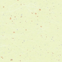 �V���W�}�@�g�d�h�j�n�@�a���@�_��������U�@���@�T�O������@�O�O�Q�P�O�V�U�O�R�@�P�܁i�T�O���j