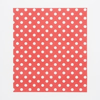 �V���W�}�@�g�d�h�j�n�@���b�N�X�y�[�p�[�@�Q�P�D�W�Q�T�@�h�b�g�ԁ@�P�O�O������