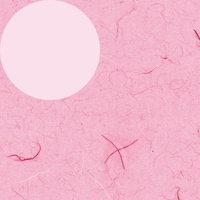 �V���W�}�@�g�d�h�j�n�@����@�ӂ��с@�s���N�@���ˁ@�P�O�O������@�O�O�Q�R�P�W�S�O�O�@�P�܁i�P�O�O���j