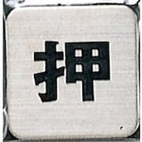 �q�J���@���@�T�C���v���[�g�@���@�e�r�S�P�P�@�P��