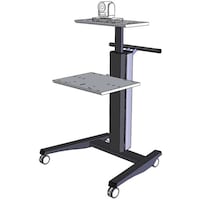 ��m�ؐ��쏊�@��m�؁@�L���X�^�[�t�J�����X�^���h�@�s�b�c�r�h�b�i�b�m�@�P��